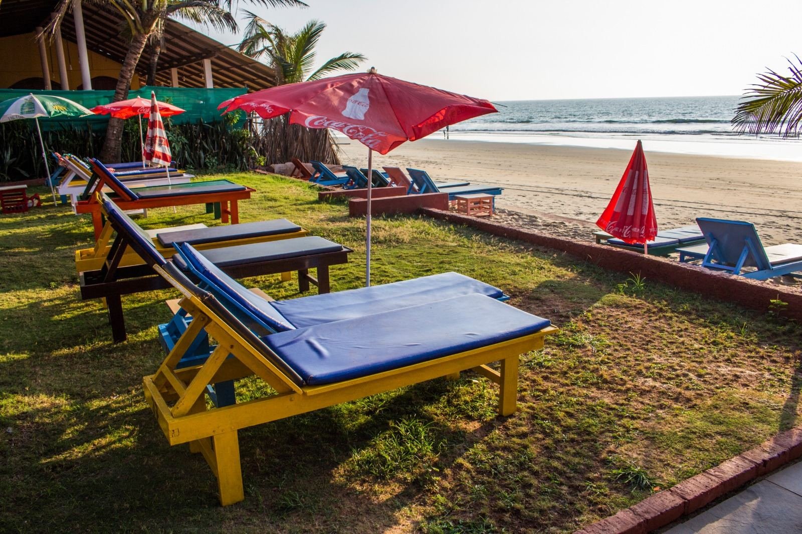 Sun loungers on the lawn facing the beach