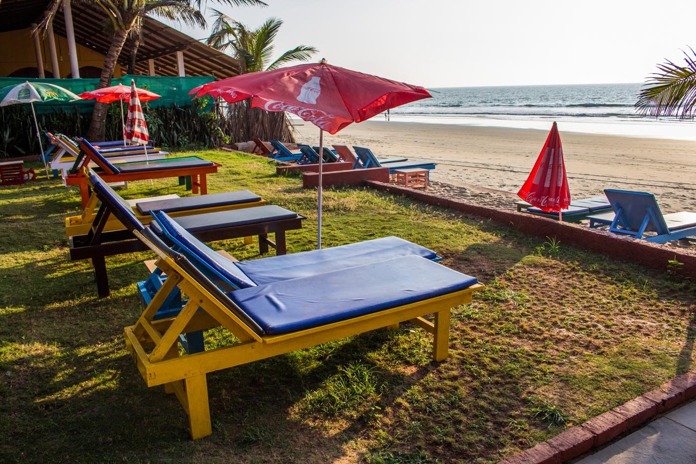 Sun loungers on the lawn by the beach